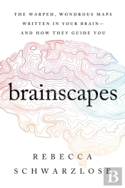 Brainscapes