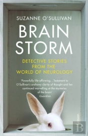 Brainstorm