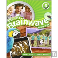 Bertrand.pt - Brainwave Be 6 Pb