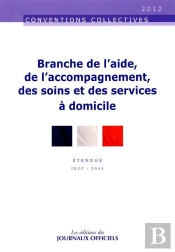 Branche De L'Aide, De L'Accompagnement, Des Soins Et Des Services A  Domicile