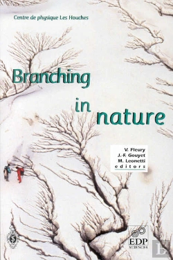 Bertrand.pt - Branching In Nature ; Dynamics And Morphogenesis Of Branching Structures From Cell To River Networks
