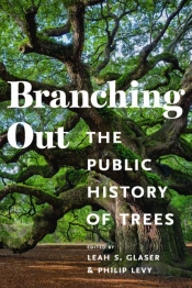 Branching Out