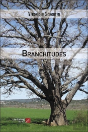 Branchitudes