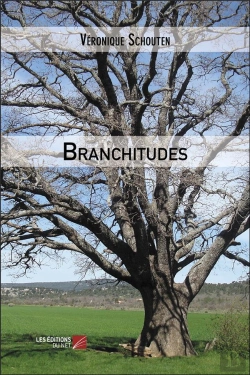 Bertrand.pt - Branchitudes