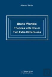 Brane Worlds