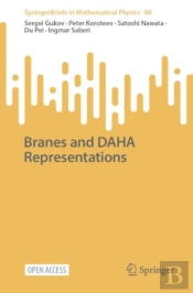 Branes And Daha Representations