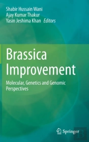 Brassica Improvement