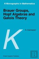Brauer Groups, Hopf Algebras And Galois Theory