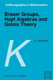 Brauer Groups, Hopf Algebras And Galois Theory