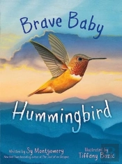 Brave Baby Hummingbird
