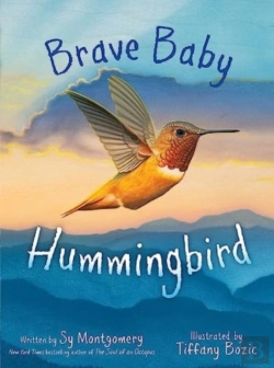 Bertrand.pt - Brave Baby Hummingbird