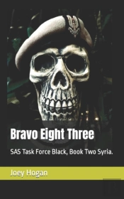Bravo Eight Three