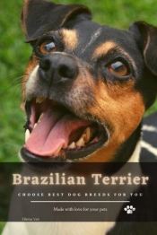 Brazilian Terrier