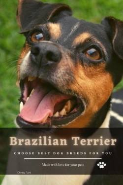 Bertrand.pt - Brazilian Terrier