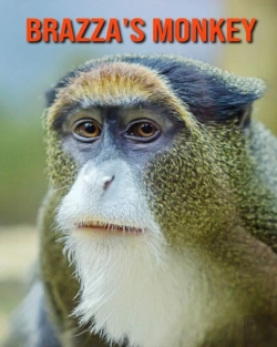 Bertrand.pt - Brazza'S Monkey