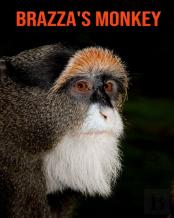 Brazza'S Monkey