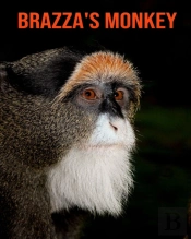 Brazza'S Monkey