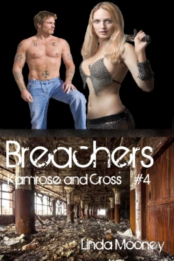 Bertrand.pt - Breachers: Kamrose And Cross