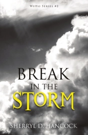 Break In The Storm