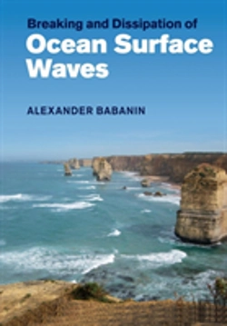 Bertrand.pt - Breaking And Dissipation Of Ocean Surface Waves