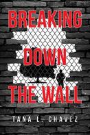 Breaking Down The Wall