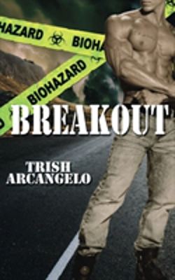 Bertrand.pt - Breakout