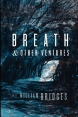 Bertrand.pt - Breath & Other Ventures
