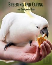 Breeding And Caring For Ornamental Birds