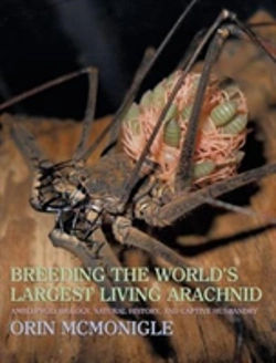 Bertrand.pt - Breeding The World'S Largest Living Arachnid