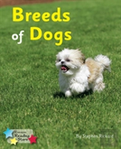 Breeds Of Dogs