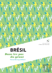 Brésil : Dans Les Pas Du Géant