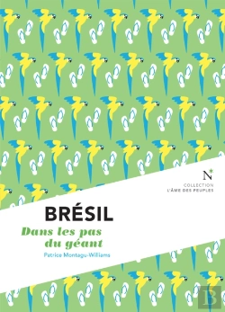 Bertrand.pt - Brésil : Dans Les Pas Du Géant