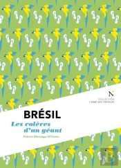 Brésil : Les Colères D'Un Géant