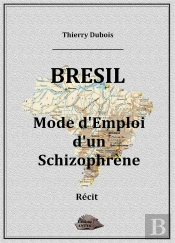 Brésil, Mode D'Emploi D'Un Schizophrène