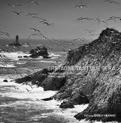 Bretagne Tant Que Sera