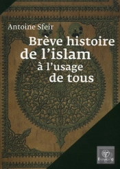 Brève Histoire De L'Islam À L'Usage Des Profanes