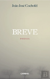 Breve