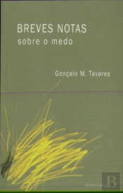 Breves Notas sobre o Medo