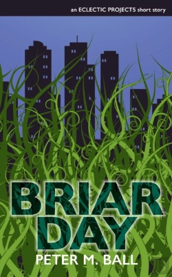 Bertrand.pt - Briar Day