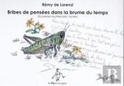 Bribes De Pensées Dans La Brume Du Temps