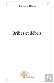 Bribes Et Débris