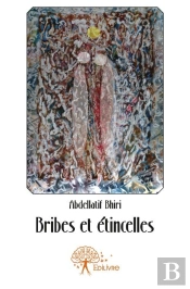 Bribes Et Etincelles