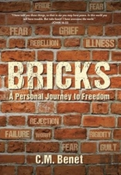 Bricks