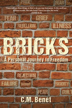 Bertrand.pt - Bricks