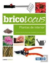 Bricolocus. Plantas De Interior