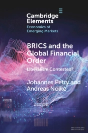 Brics And The Global Financial Order