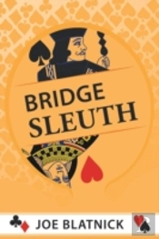 Bridge Sleuth
