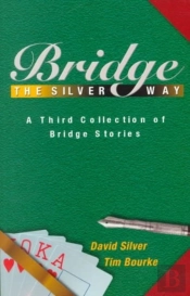 Bridge The Silver Way