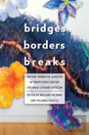 Bridges, Borders, And Breaks