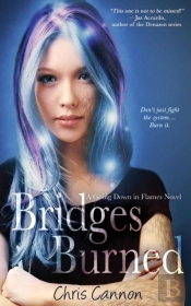 Bridges Burned